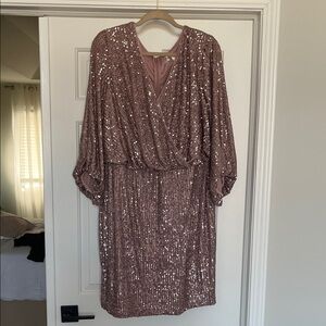 HP! 💕 ELIZA J 18W Sequin Sheath Dress Sleeve Mauve EUC
